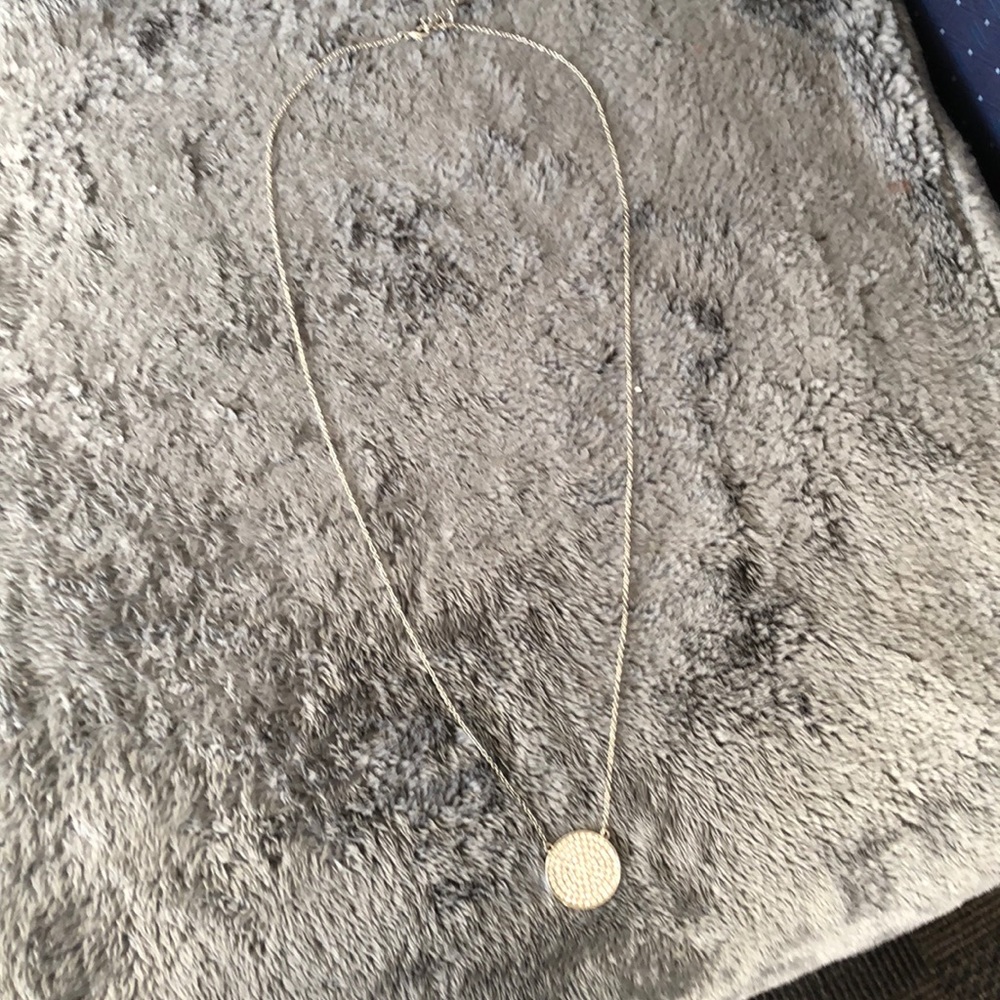 American Eagle Long Silver Necklace